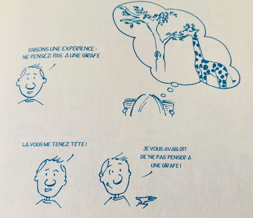 "Faisons une expérience : ne pensez pas à une girafe. Là, vous me tête ! Je vous avait dit de ne pas penser à une girafe !"